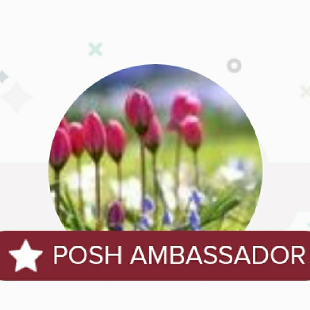 Ambassador